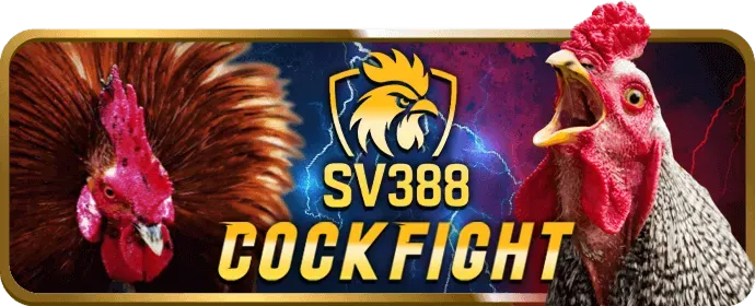 Mẹo cài đặt yo888
